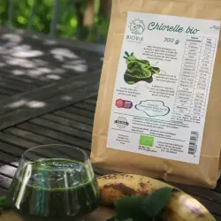 Chlorella en polvo BIO (500g)