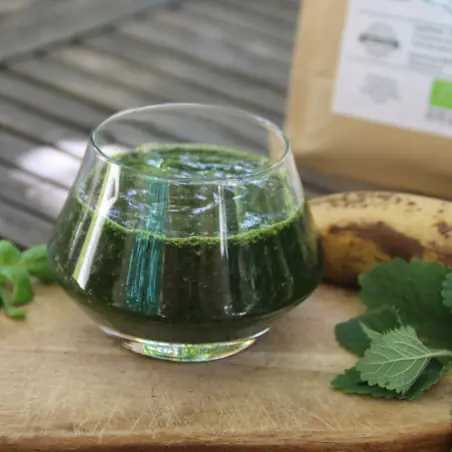 Chlorella em pó BIO (500g)