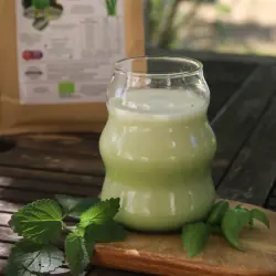 Organic Barley Grass Powder (500 g)