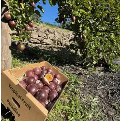Biologische passievruchten uit Spanje (2 kg)