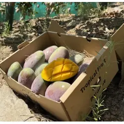 Mango Biologica (5 kg)