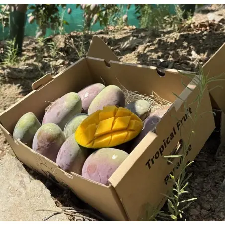 Caisse mangue bio