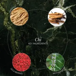 Enzimi liquidi CHI - ZenCleanz