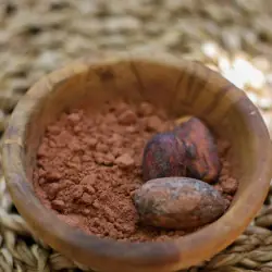 Pó de cacau cru orgânico (variedade Nacional)