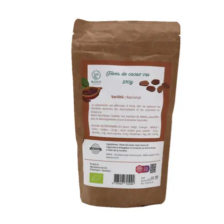 Favas de cacau cru orgânico (variedade Nacional)