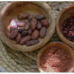 Rohe Bio-Kakaobohnen (Sorte National)