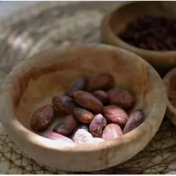 Habas de cacao crudas orgánicas (variedad Nacional)