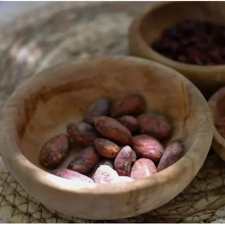 Organic raw cocoa beans (National variety)