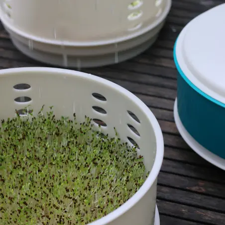 Easygreen Sol Sprouter (Autonomous + Made in France) - New Model