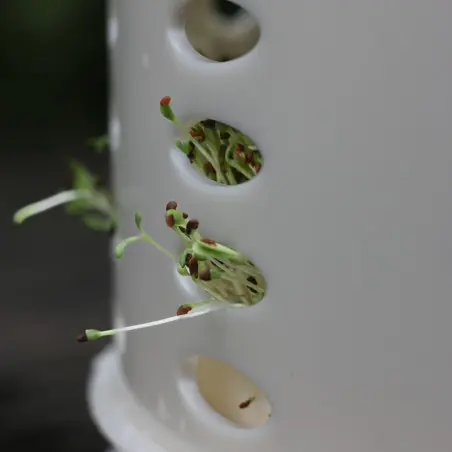 Germogliatore Easygreen Sol (Autonomo + fabbricato in Francia) - Nuovo modello