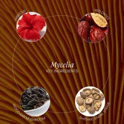 Enzimas líquidas MYCELIA - ZenCleanz