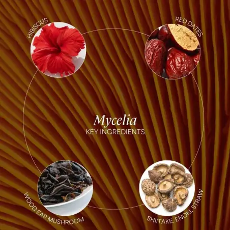 Vloeibare enzymen MYCELIA - ZenCleanz