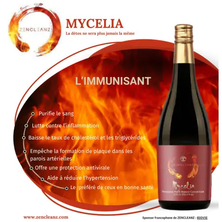 Enzimas líquidas MYCELIA - ZenCleanz