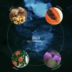 Flüssigenzyme INCA - ZenCleanz