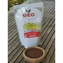 Semi da germogliare di broccolo rapini Bavicchi Biovie bio con confezione e sfusi