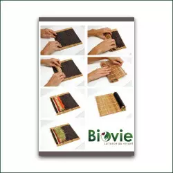 Dehydrated Algae Low Temperature Dehydrated Algae Low Temperature