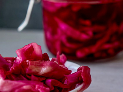 Lacto-fermentation avec le plasma marin