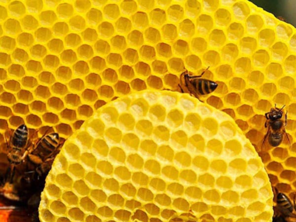 Wax klei: Het natuurlijke recept voor kleine wondjes