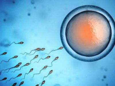 Voorbereiden op de zwangerschap