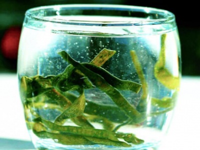 SALADE DE CELERI RAVE ET HARICOT DE MER 