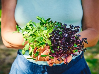 How to choose the sprouted seeds for meals?