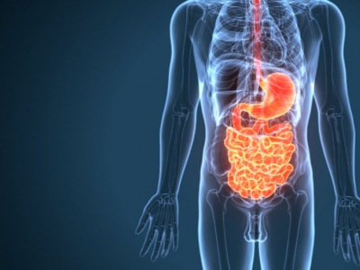 Hoe bevorder je een betere spijsvertering?