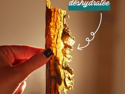 Nieuw: Gedroogde Kombu-wieren