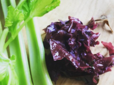 Selderijkruid - Dulse