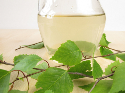 Wat zijn de voordelen van berkensap?