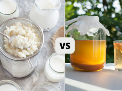 Wat zijn de verschillen tussen Kombucha en Kefir?