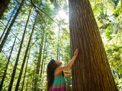 Hoe opnieuw verbinding maken met de natuur? (6 ideeën)