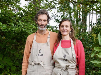 Onze tips en trucs om te beginnen met rauw en levend voedsel