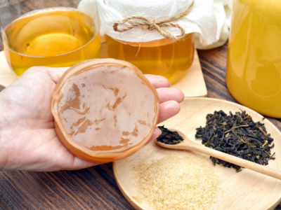 Hoe maak je een kombucha-moeder en hoe voed je deze?