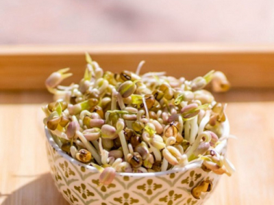 Pourquoi les graines germées sont-elles de mini plantes adaptogènes ?