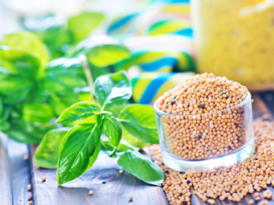 Graines de moutarde : bienfaits et recettes