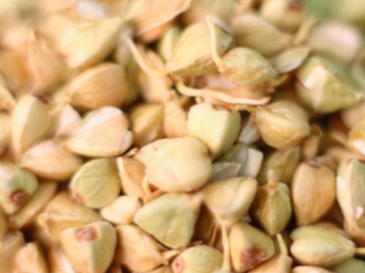 Sans gluten et alimentation vivante