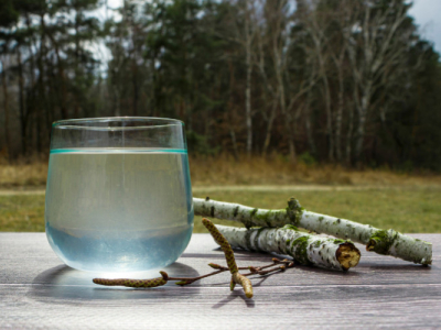 Wat zijn de voordelen van gefermenteerd berkenwater?