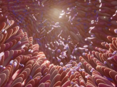 Darmreiniging: 8 natuurlijke methoden onder de loep genomen