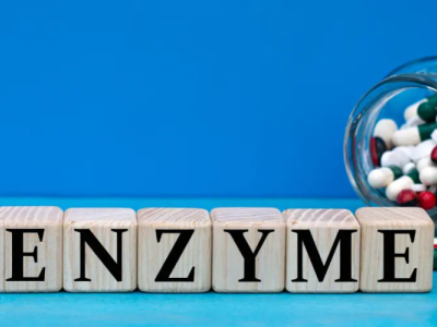 Enzymes, these indispensable metabolic auxiliaries for our body