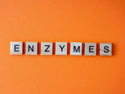 Enzymen: sleutels tot de spijsvertering en vitaliteit